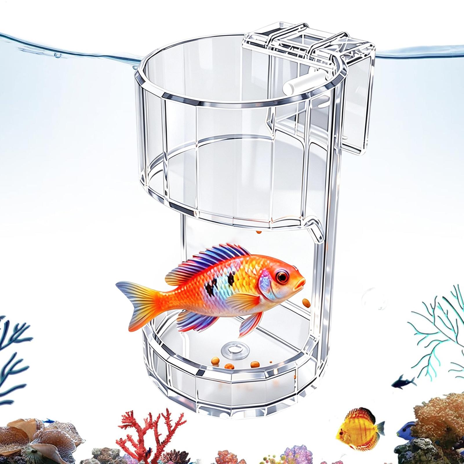 Aquarium Fish Price - Akvaryum Yemlik Kabı Şeffaf Yemlik Kutusu