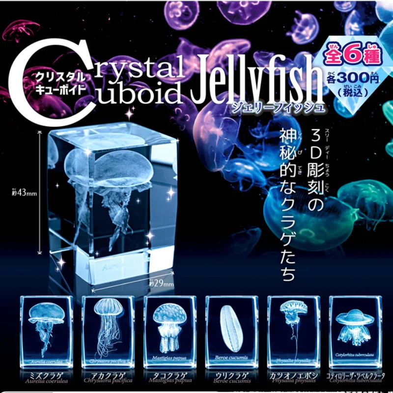 Aquarium Fish Keeping - Japonya Gashapon denizanası 3D kristal Cuboid