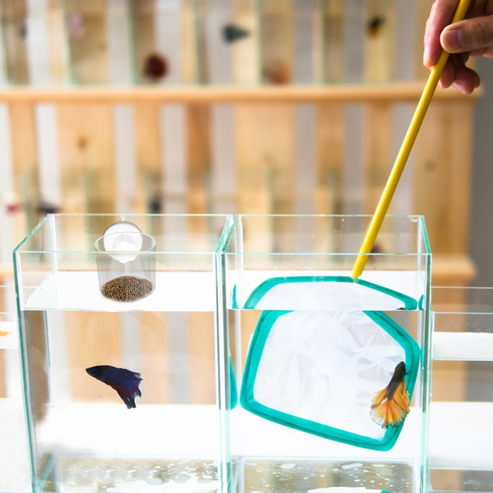 Aquarium Fish Keeping - 2 Adet Akvaryum Besleme Halkası Küçük