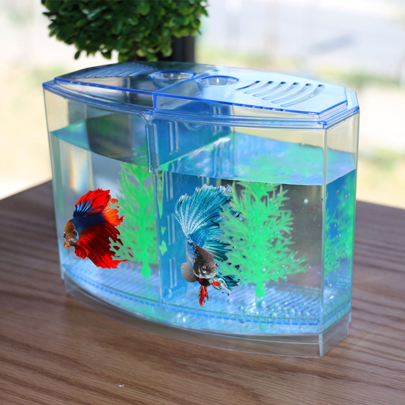 Aquarium Fish Keeping - Roman ve Komik Oyuncak Yaratıcı Balık