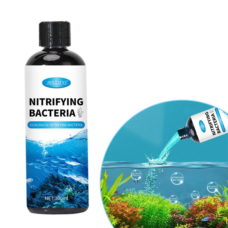 Aquarium Fish Medicine - Nitrifikasyon Bakteri Sıvı Balık Tankı Su