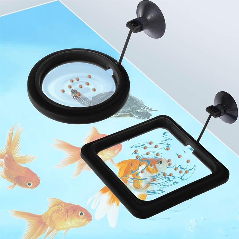 Aquarium Fish Medicine - Akvaryum Balık Tankı Besleme Halkası İstasyonu
