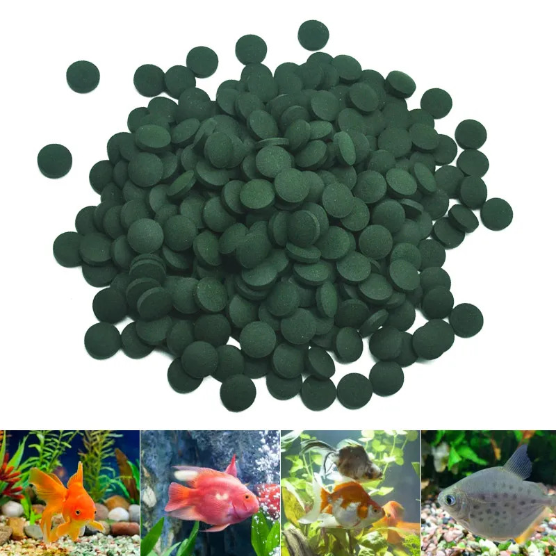 100-3000 adet Yüksek Saflıkta  - Aquarium Fish Price incelemesi ve fiyatı