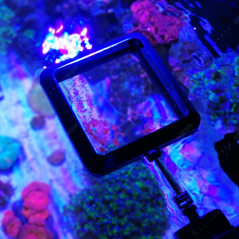 VASTOCEAN Manyetik Besleme Hal - Aquarium Fish Price incelemesi ve fiyatı