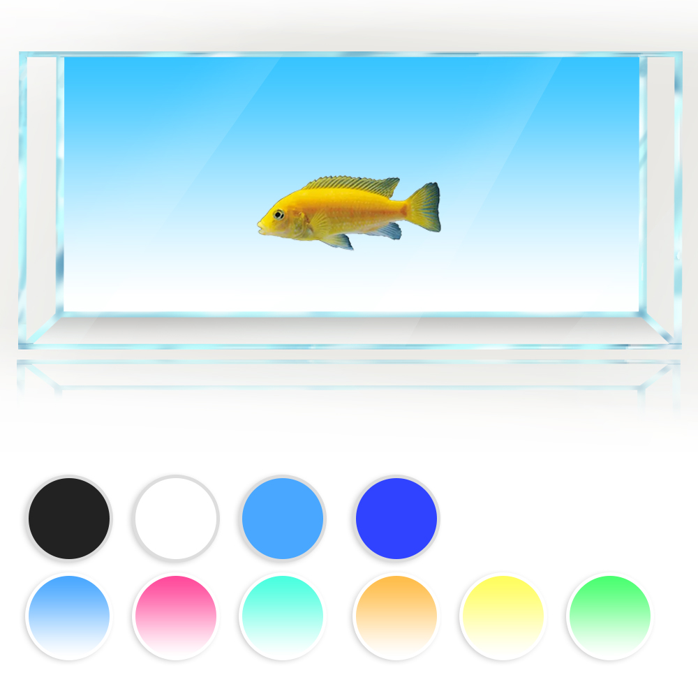 Balık Tankı Arka Plan Beyaz Sa - Aquarium Fish Yellow And Black incelemesi ve fiyatı