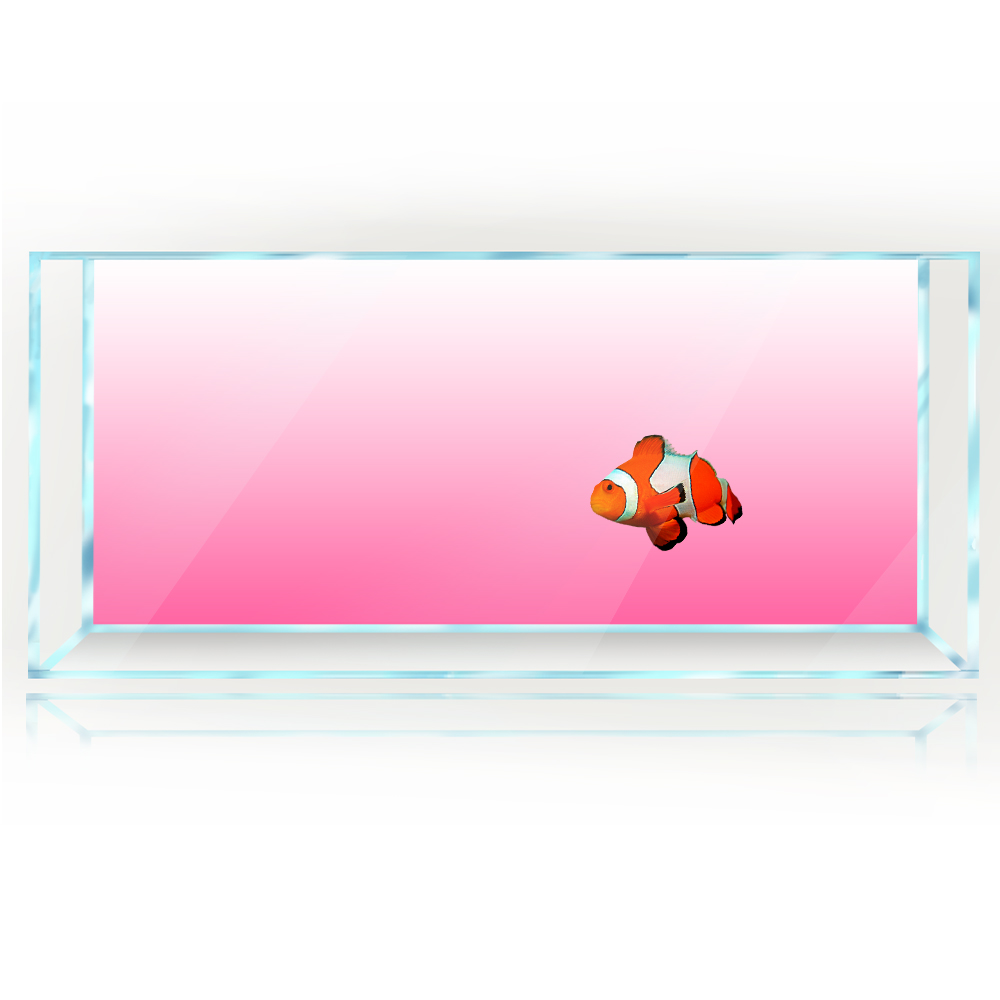 Balık Tankı Arka Plan Beyaz Sa - Aquarium Fish Yellow And Black incelemesi ve fiyatı