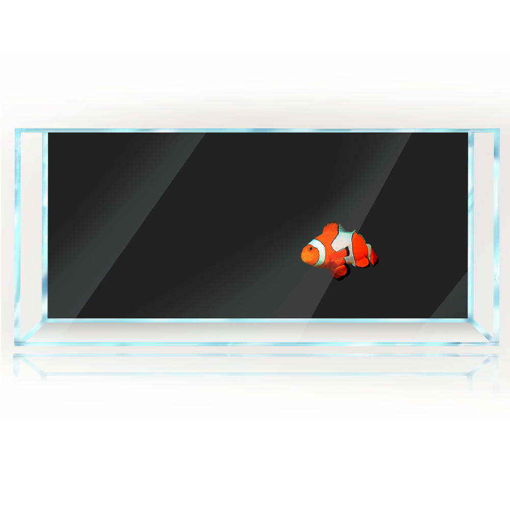 Balık Tankı Arka Plan Beyaz Sa - Aquarium Fish Yellow And Black incelemesi ve fiyatı
