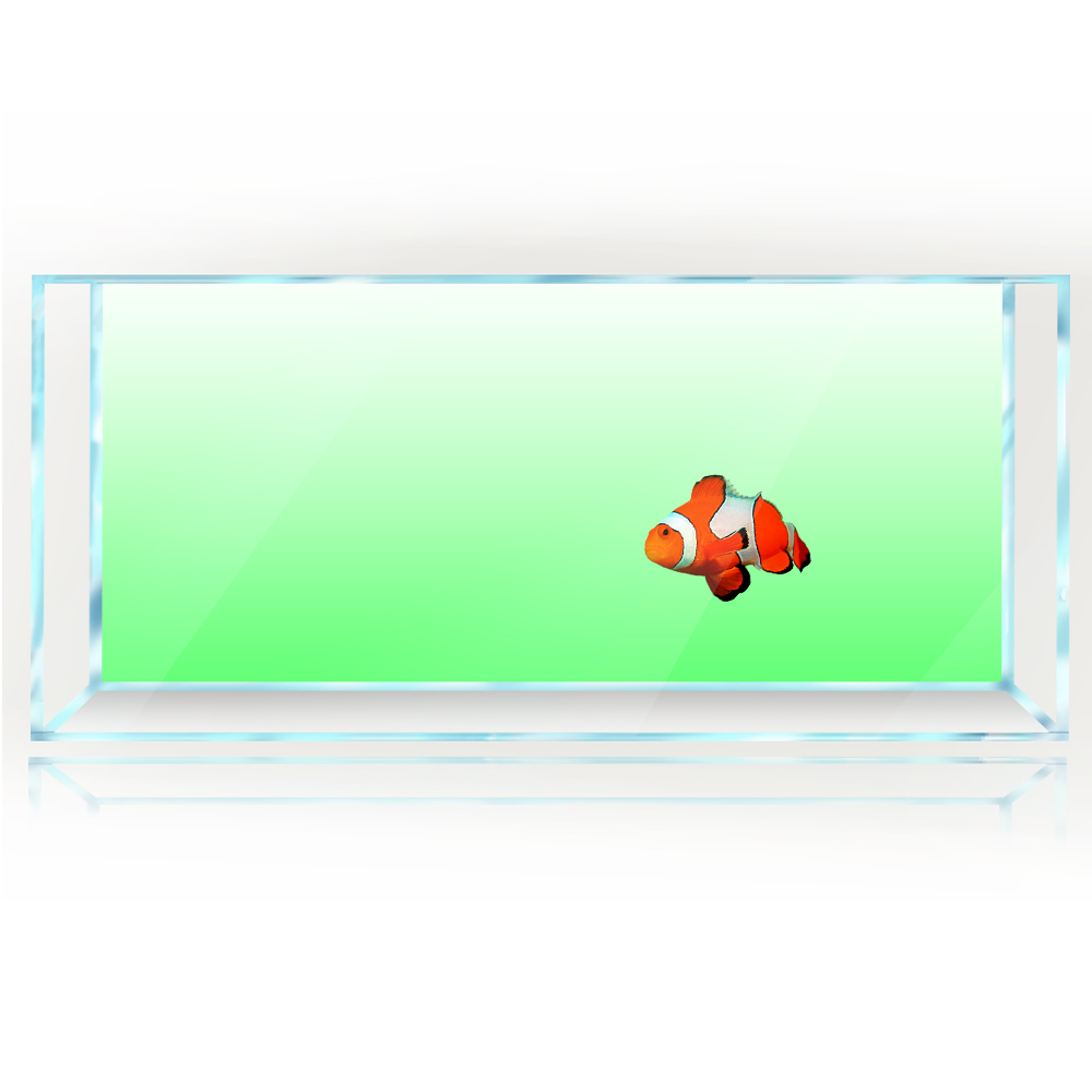 Balık Tankı Arka Plan Beyaz Sa - Aquarium Fish Yellow And Black incelemesi ve fiyatı