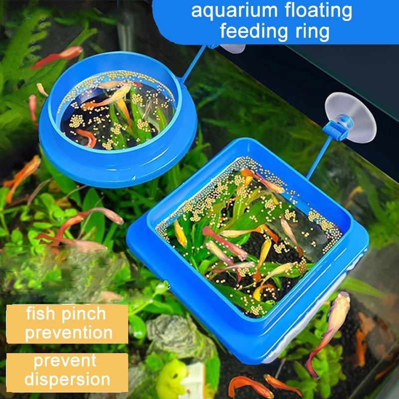 Yüzen Akvaryum Balık Besleme H - Aquarium Fish Medicine incelemesi ve fiyatı