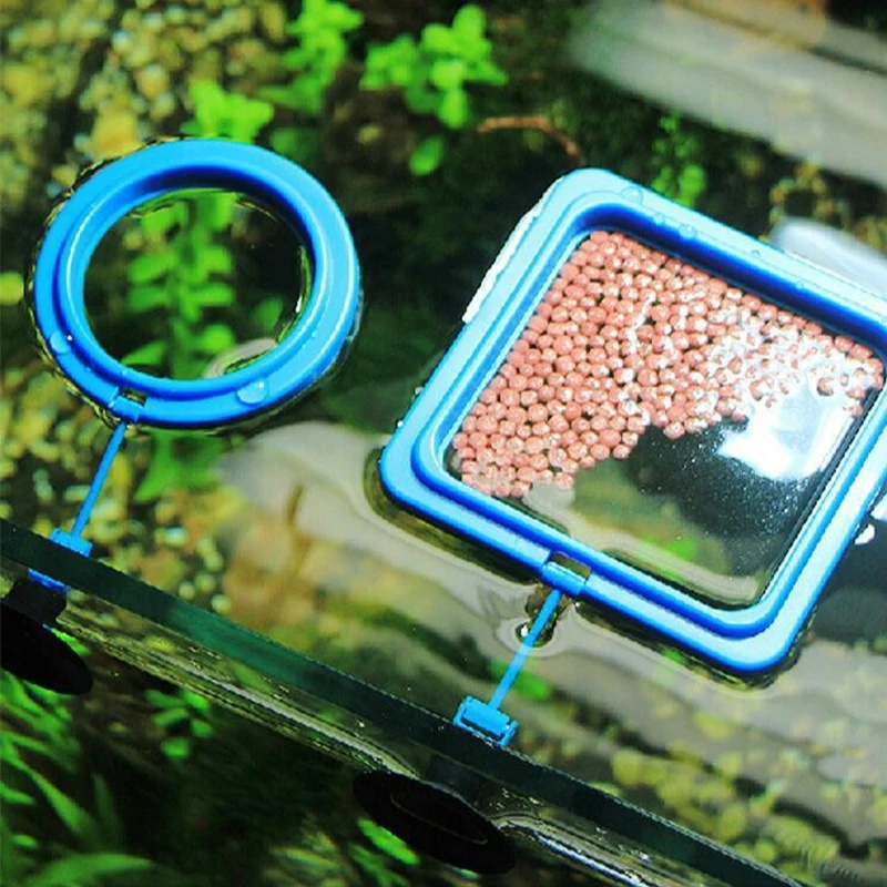 Yüzen Akvaryum Balık Besleme H - Aquarium Fish Medicine incelemesi ve fiyatı