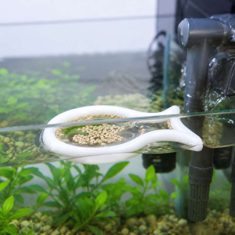 Balık Şeklinde Yüzen Besleme H - Aquarium Fish Medicine incelemesi ve fiyatı