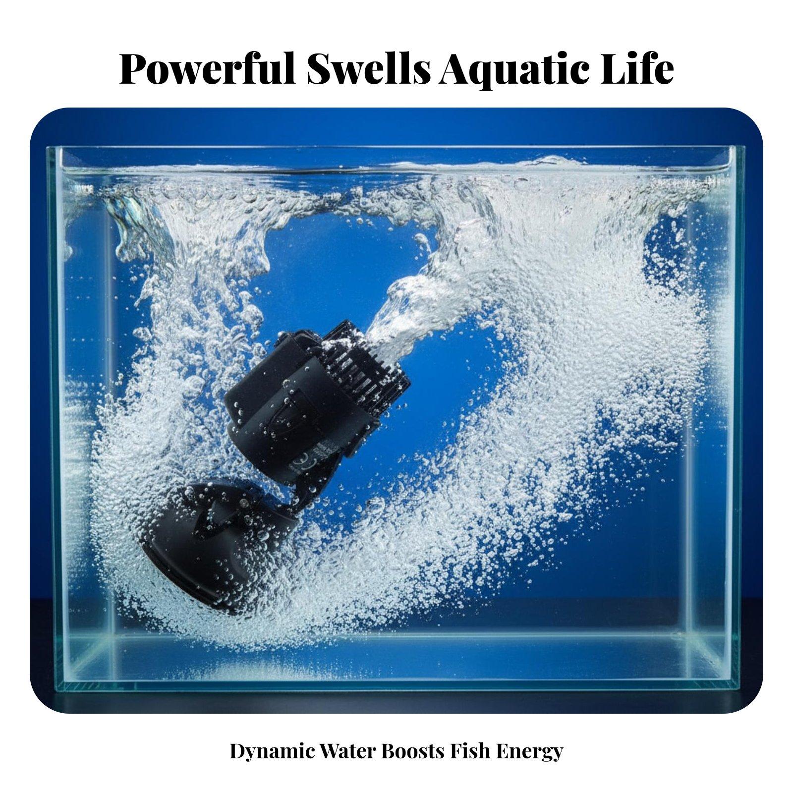 Balık Tankı Deniz Sirkülasyonu - Aquarium Fish Marine incelemesi ve fiyatı