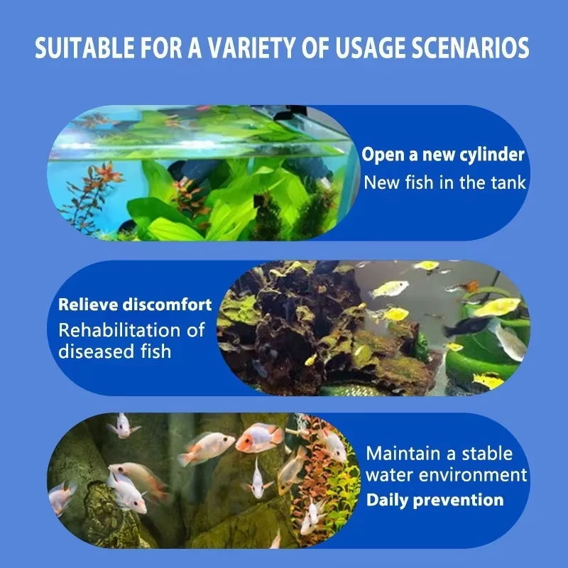 SIKEZHAN Balık Hastalığı Tedav - Aquarium Fish Medicine incelemesi ve fiyatı