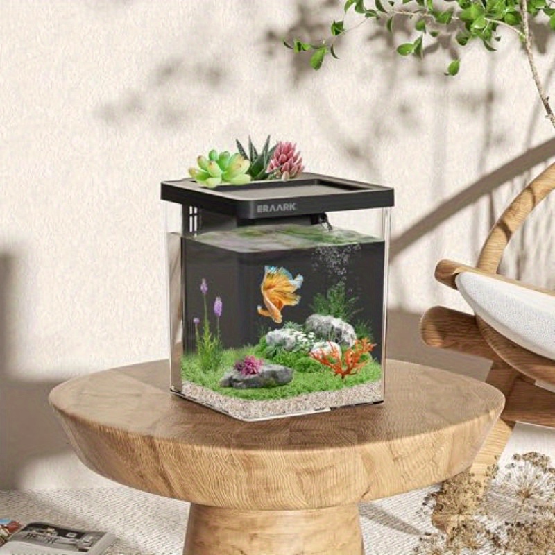 Ofis/Ev Masaüstü Akvaryumu Fil - Aquarium Fish Keeping incelemesi ve fiyatı