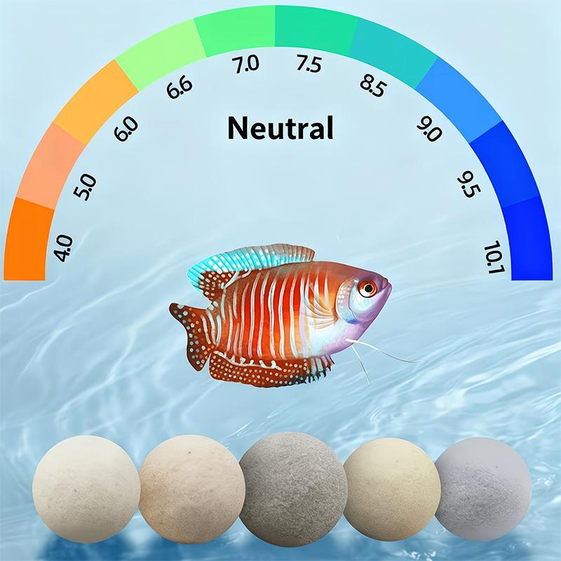 100-500g Balık Tankı Filtre To - Aquarium Fish Keeping incelemesi ve fiyatı