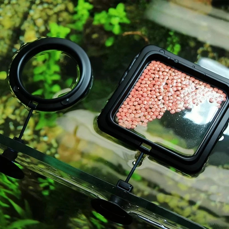 1/3 adet Akvaryum Balık Beslem - Aquarium Fish Medicine incelemesi ve fiyatı