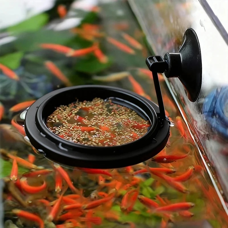 1/3 adet Akvaryum Balık Beslem - Aquarium Fish Medicine incelemesi ve fiyatı