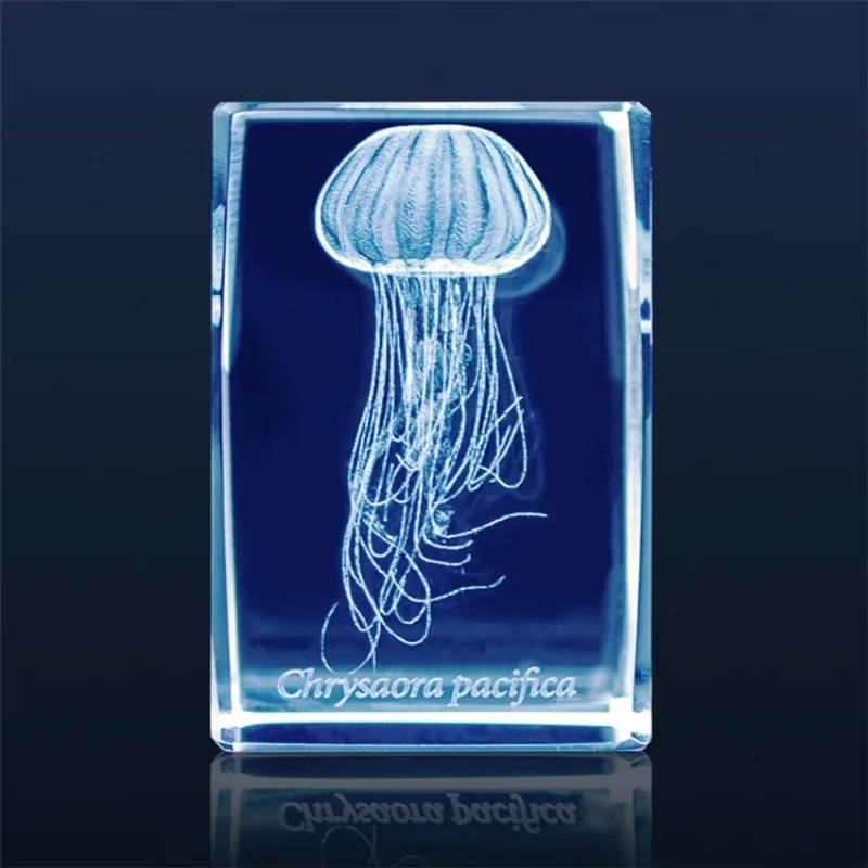 Japonya Gashapon denizanası 3D - Aquarium Fish Keeping incelemesi ve fiyatı