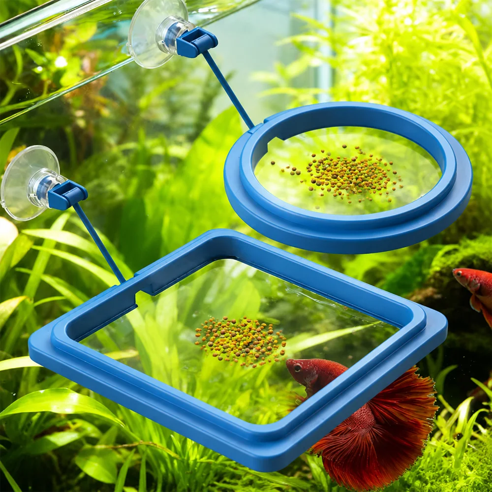 Betta Balık Yemi Yüzen Mini Pe - Aquarium Fish Medicine incelemesi ve fiyatı