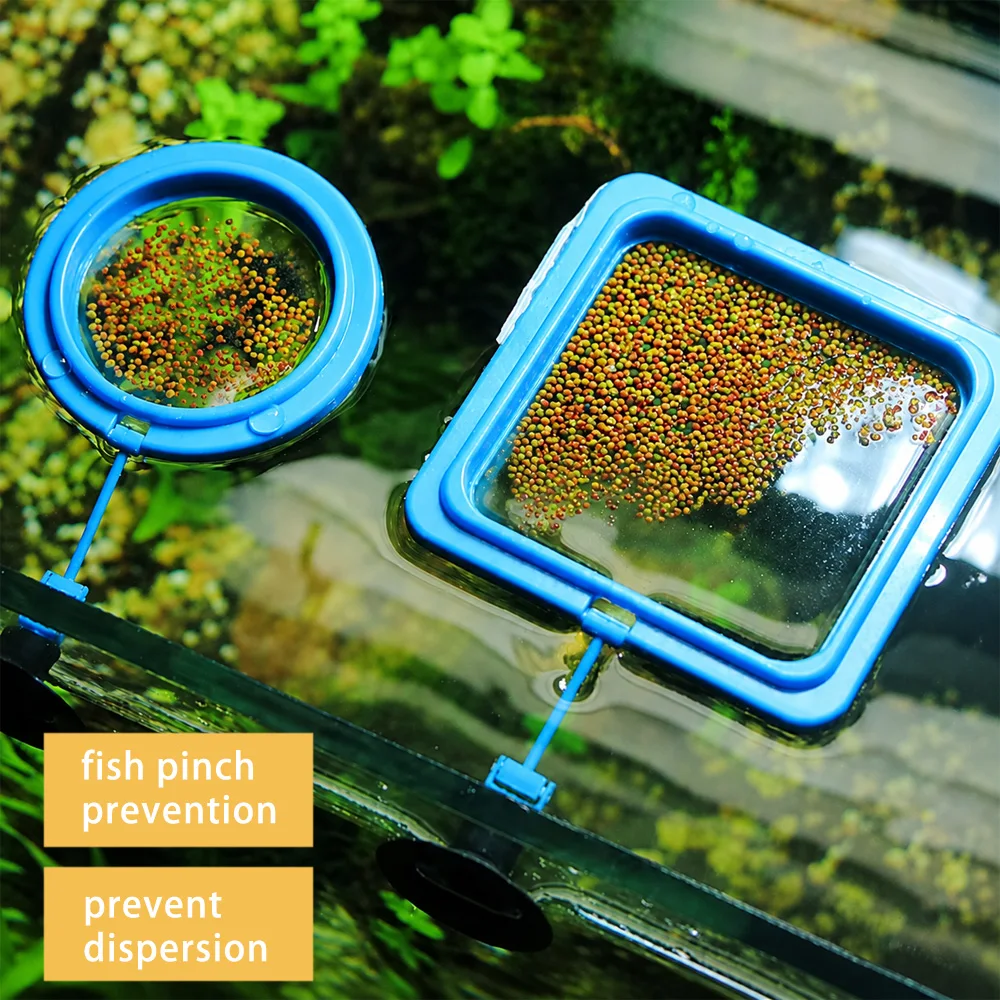 Betta Balık Yemi Yüzen Mini Pe - Aquarium Fish Medicine incelemesi ve fiyatı