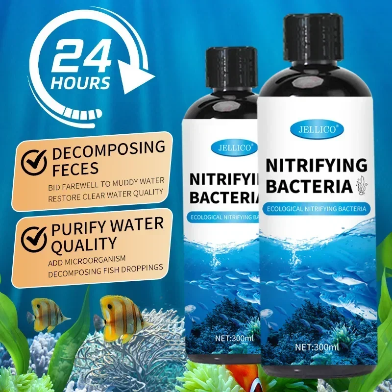 Nitrifikasyon Bakteri Sıvı Bal - Aquarium Fish Medicine incelemesi ve fiyatı