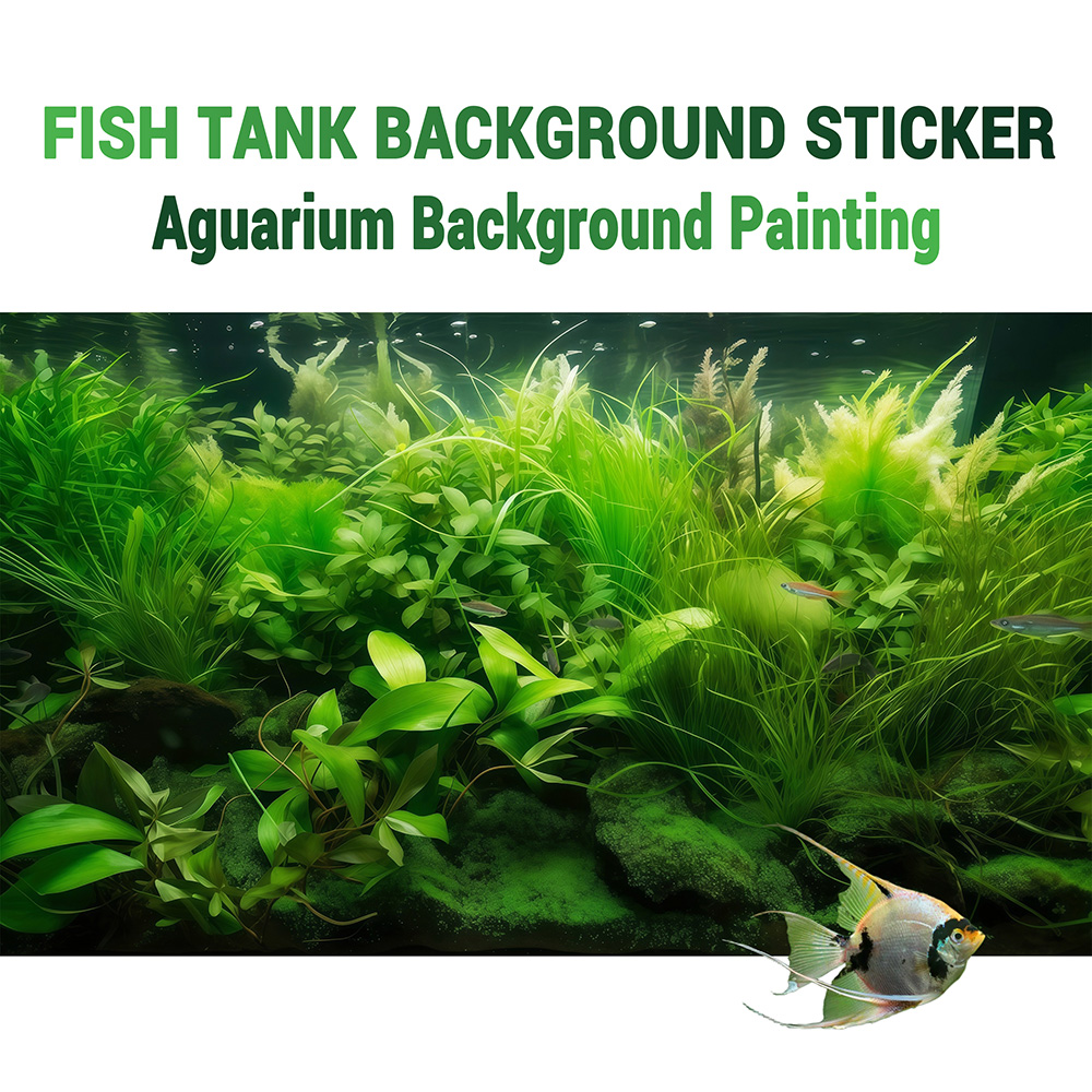 Su Çimenleri Cenneti, Akvaryum - Aquarium Fish Paradise incelemesi ve fiyatı