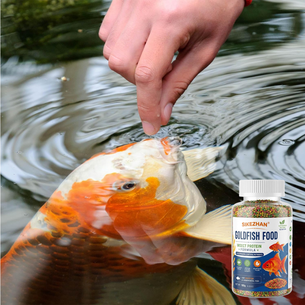 Renk Arttırıcı Japon Balığı Ye - Aquarium Fish Price incelemesi ve fiyatı