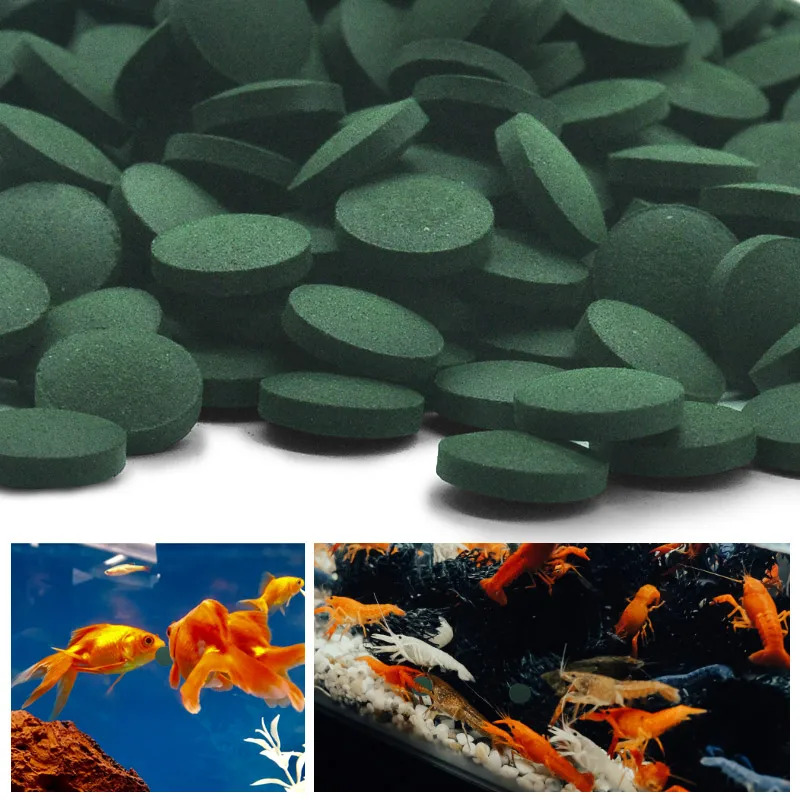50-300 Adet Yüksek Saflıkta Sp - Aquarium Fish Price incelemesi ve fiyatı
