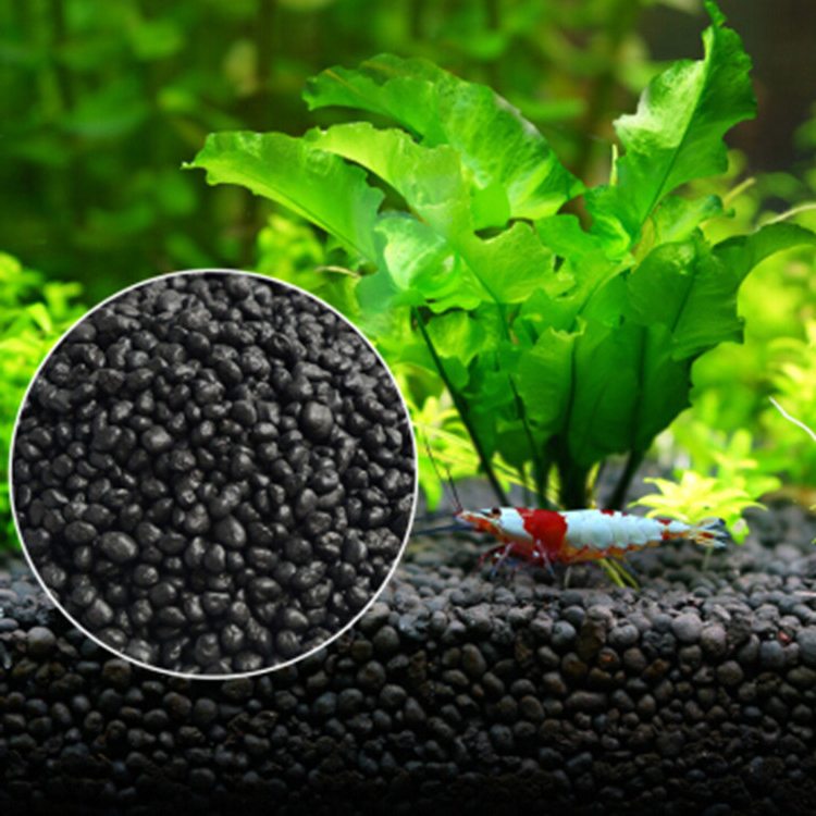 Akvaryum bitki tohumları topra - Aquarium Fish Price incelemesi ve fiyatı