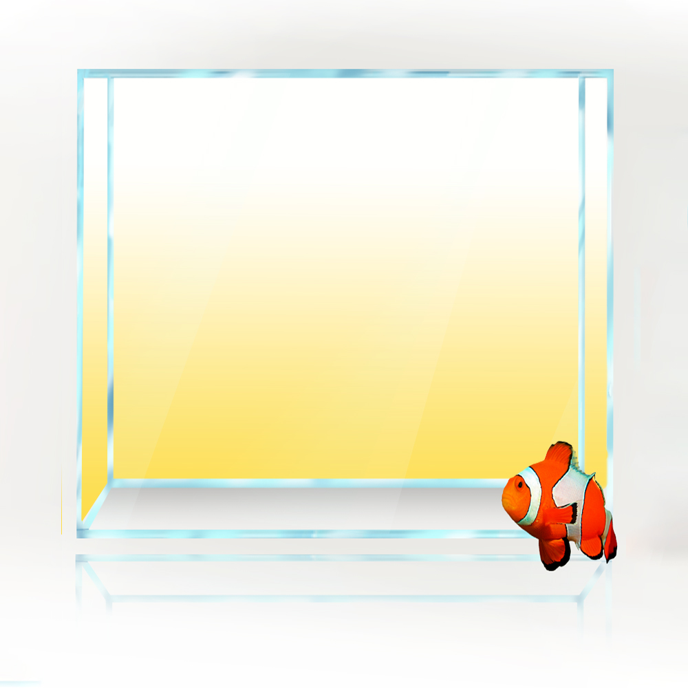 Kare Balık Tankı Arka Plan Bey - Aquarium Fish Yellow And Black incelemesi ve fiyatı