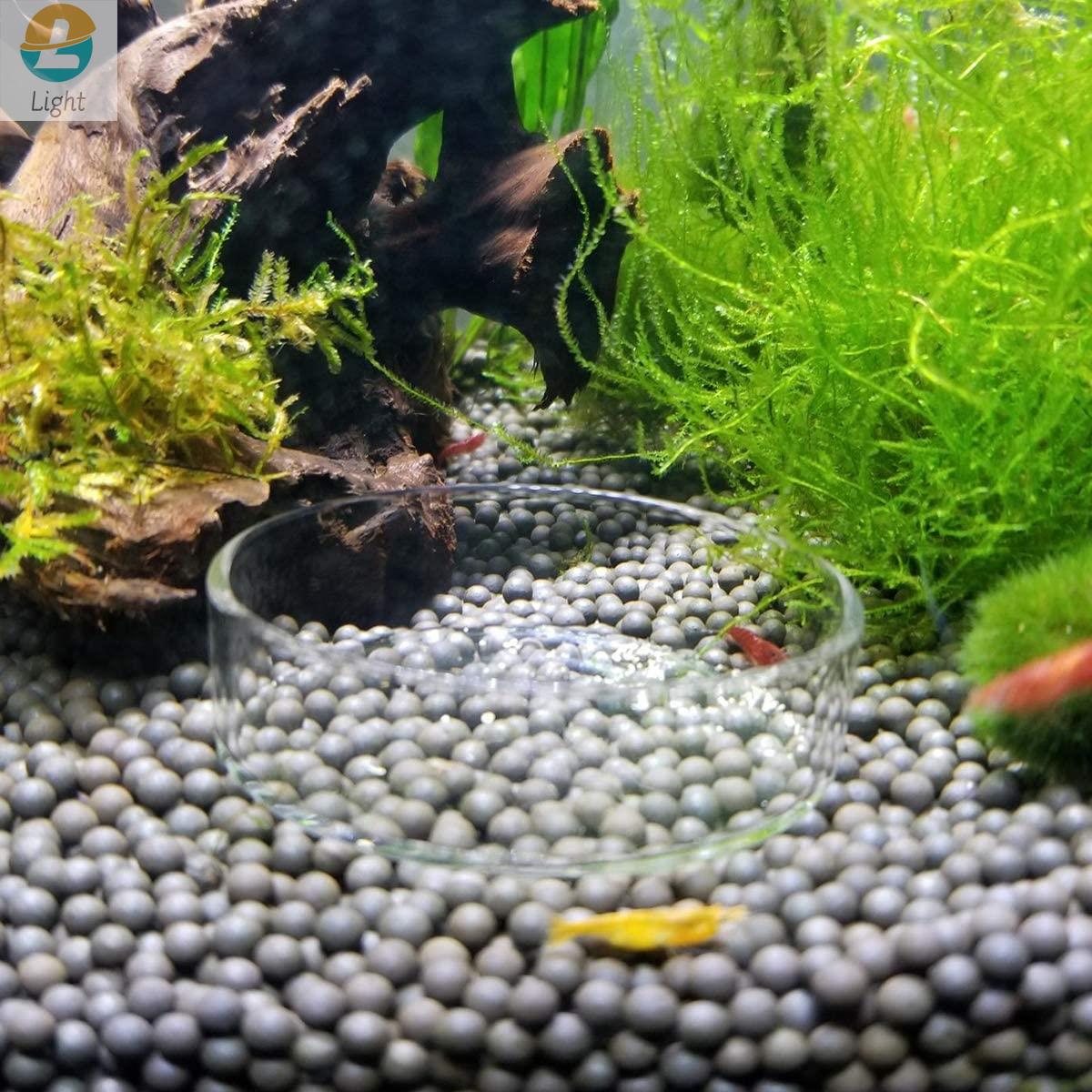 Akvaryum besleyici çanaklar ça - Aquarium Fish Keeping incelemesi ve fiyatı