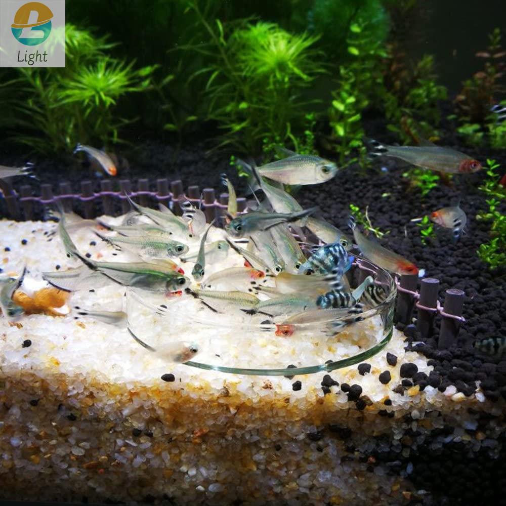 Akvaryum besleyici çanaklar ça - Aquarium Fish Keeping incelemesi ve fiyatı
