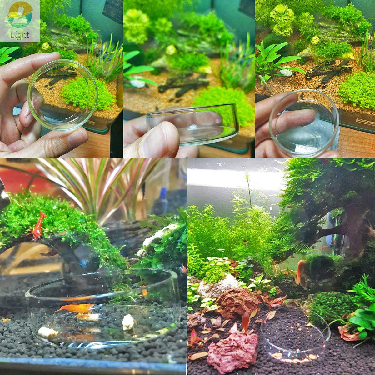 Akvaryum besleyici çanaklar ça - Aquarium Fish Keeping incelemesi ve fiyatı